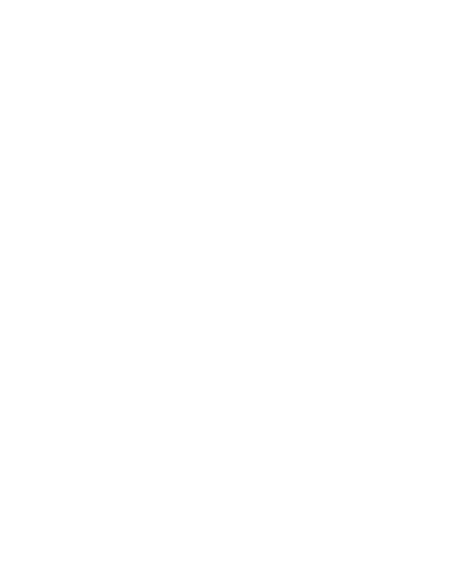 transparent-logo-bespokehandyman